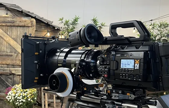 Cooke · 12K